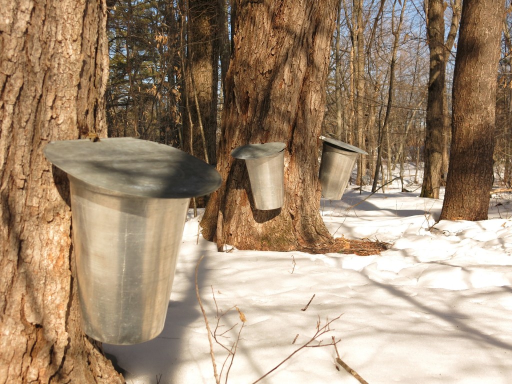 Secrets at Maple Syrup Farm by Rebecca Raisin