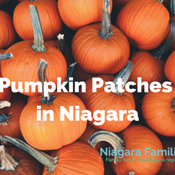 pumpkin patches in niagara