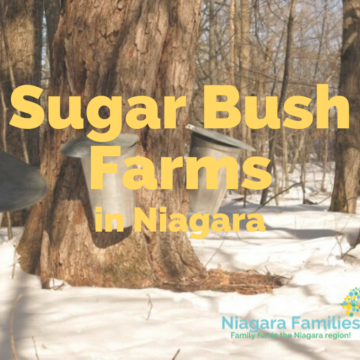 sugar bush farms